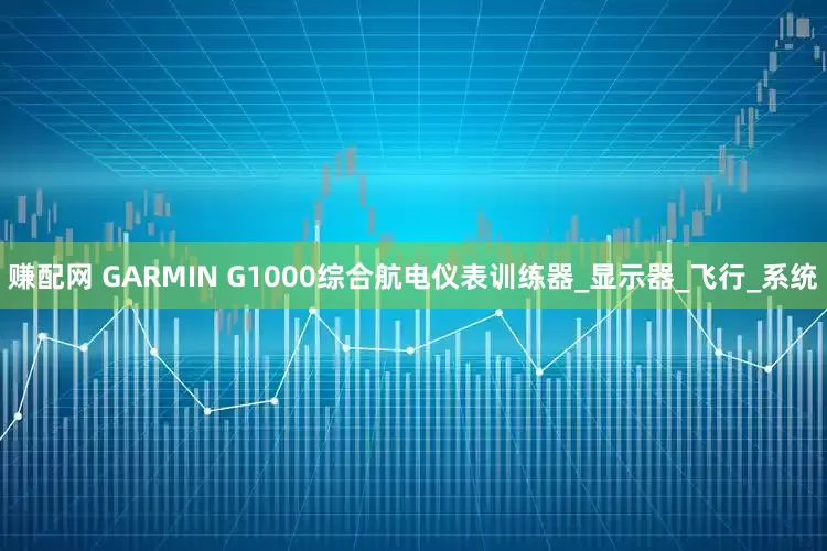 赚配网 GARMIN G1000综合航电仪表训练器_显示器_飞行_系统