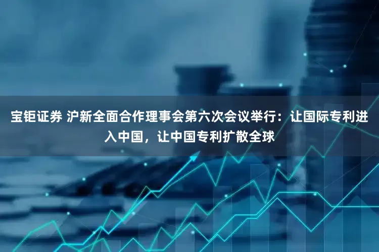 宝钜证券 沪新全面合作理事会第六次会议举行：让国际专利进入中国，让中国专利扩散全球