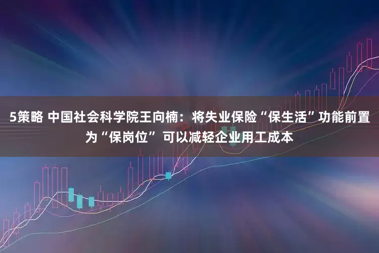 5策略 中国社会科学院王向楠：将失业保险“保生活”功能前置为“保岗位” 可以减轻企业用工成本